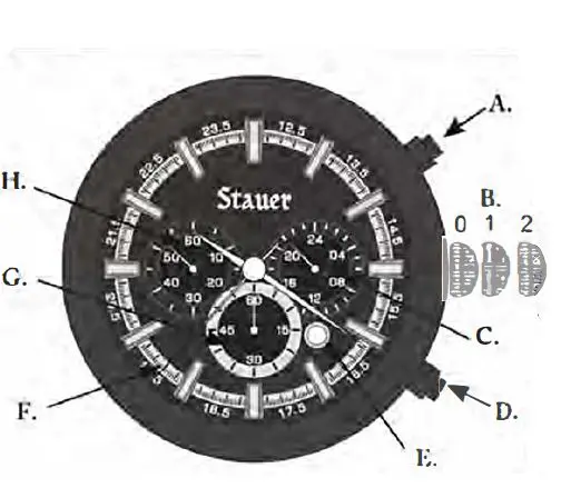 Stauer 51174 Smart Watch-fig1