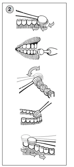 ETA 1294 Battery toothbrush fig 2