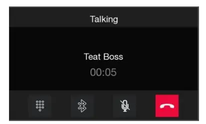 BLAUPUNKT La Paz 880 Car Multimedia - fiContents 6