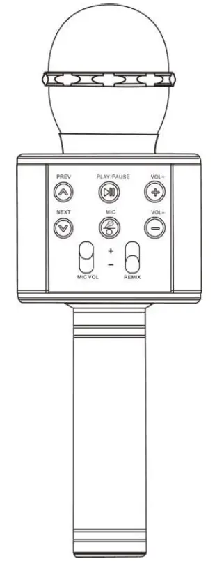 anko 43205745 Bluetooth Karaoke Microphone with Speaker