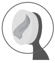 CONAIR True Glow Glam Vibrating Makeup Brush Set MBS1 - STEP 2