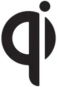 QI Symbol