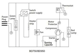 BERG BD155 Chest Freezer - Chest Freez