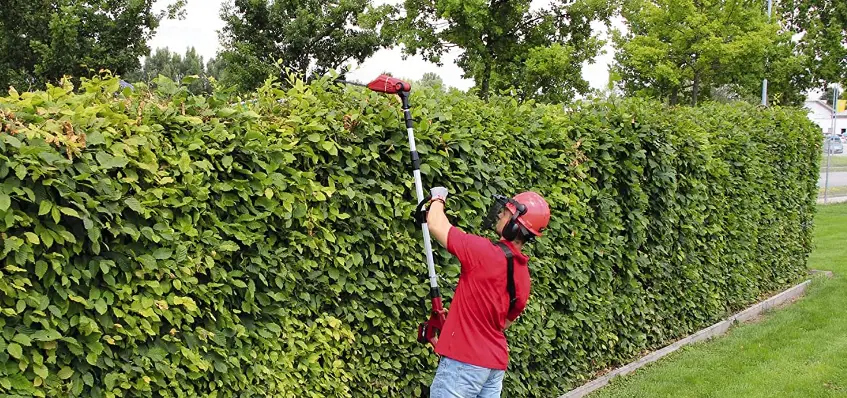 Einhell Gc-hh 18-45 Li T Cordless Pole Hedge Trimmer Instruction Manual