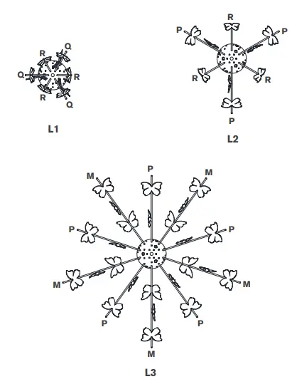 VISUAL-COMFORT-JN-5501-Farfalle-Medium-Chandelier-fig-3