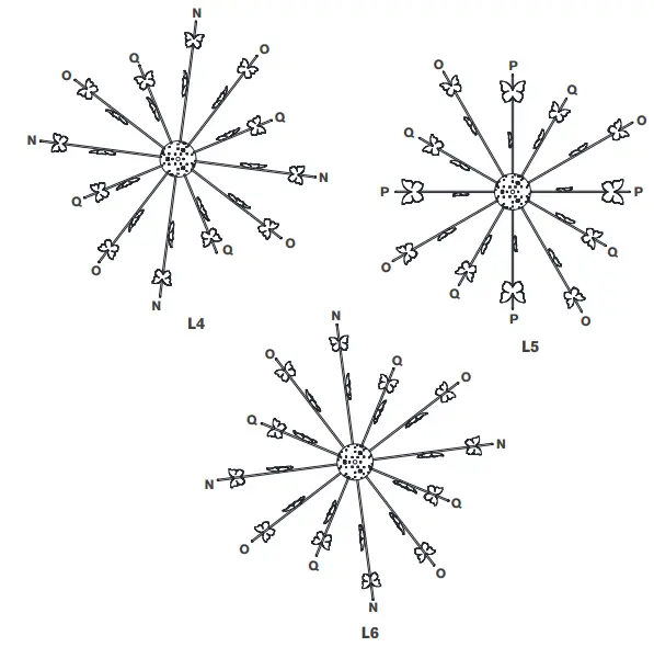 VISUAL-COMFORT-JN-5501-Farfalle-Medium-Chandelier-fig-4