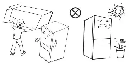 FIG 12 PLACEMENT.JPG