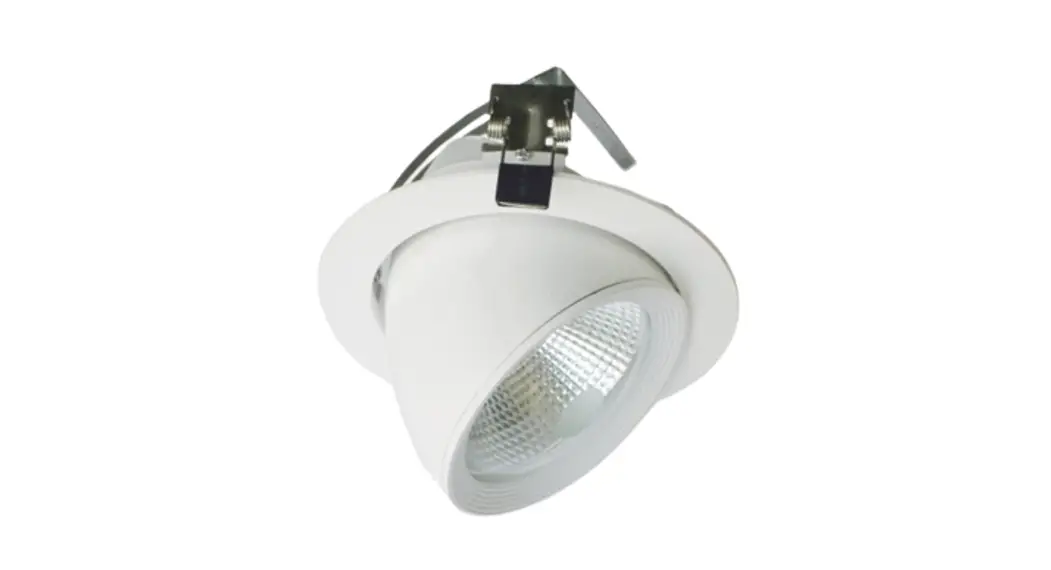 Nesign Msp Series Flexible Led Downlight Instructions