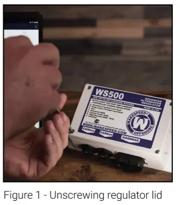 WS500-For-12V-to-48V-Charging-Systems- (1)