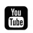 Youtube Icon