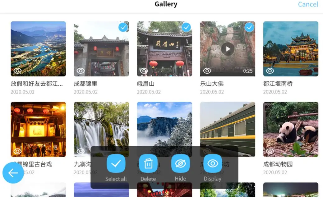 Linklemo X10 Digital Photo Frame - Gallery2