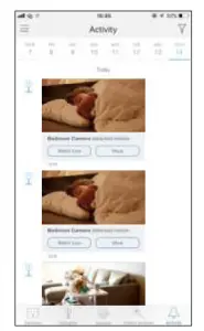 graphical user interface, application
