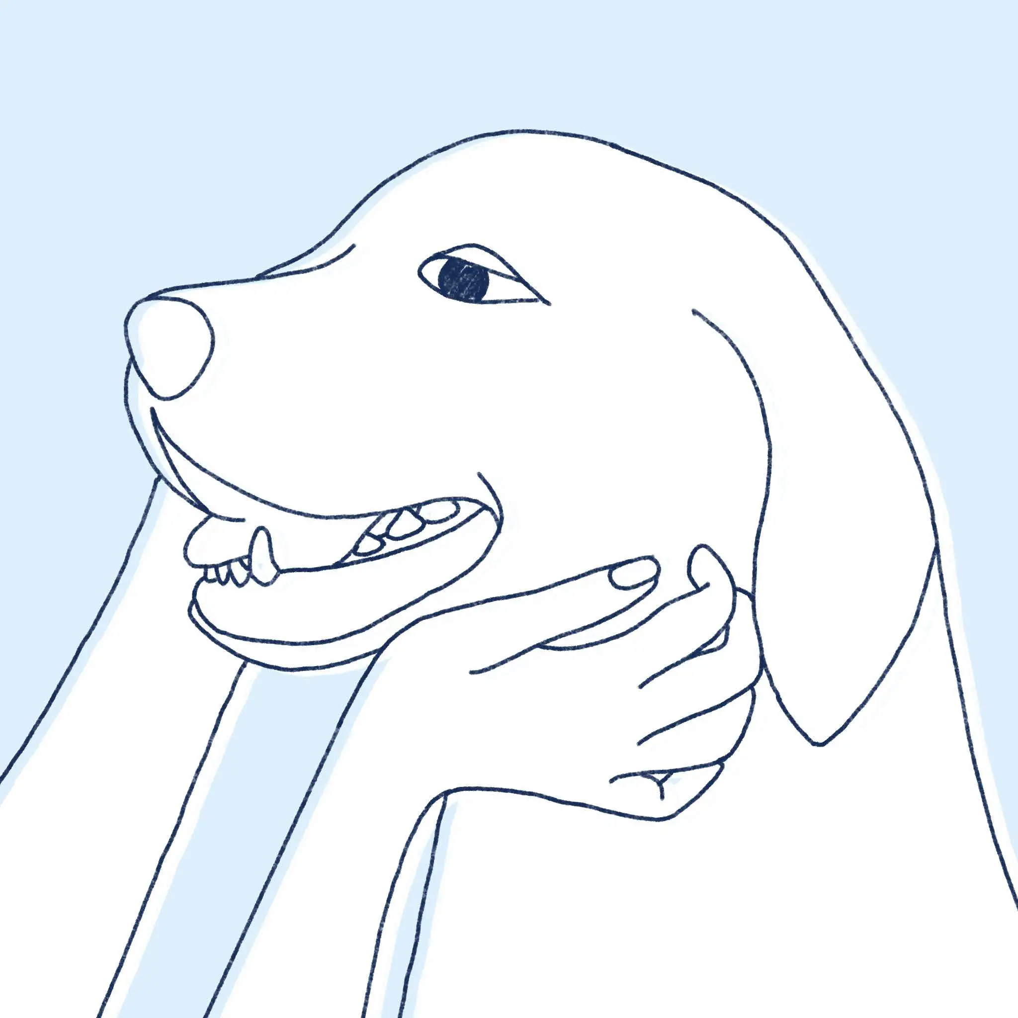 Bita-International How to Give Your Pet Liquid Medication fig10