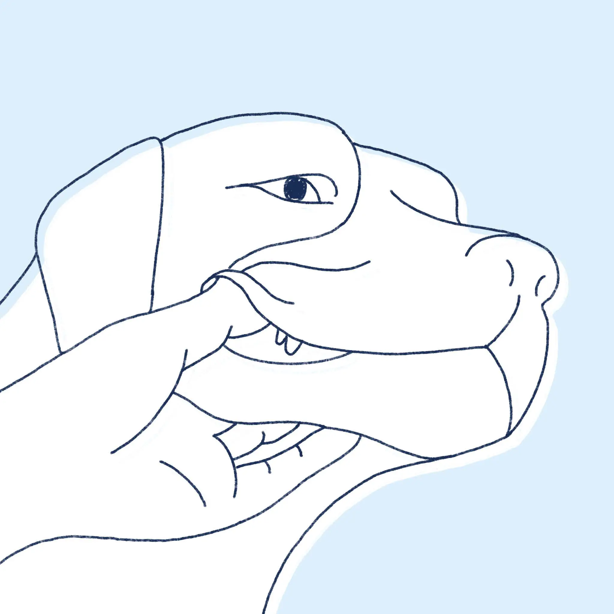 Bita-International How to Give Your Pet Liquid Medication fig5