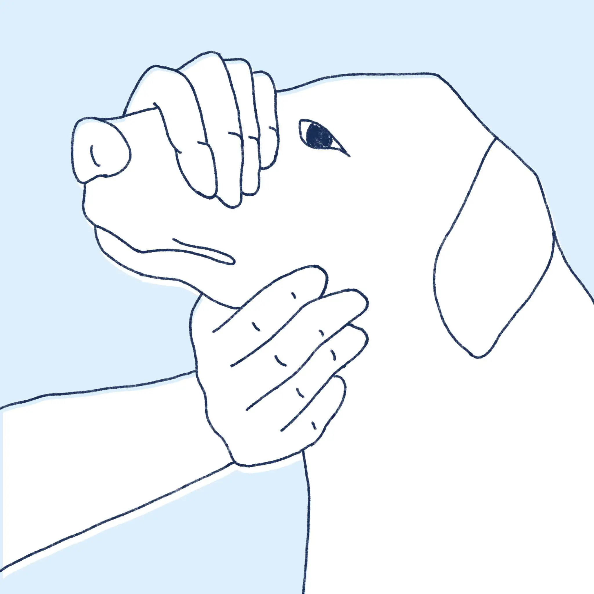 Bita-International How to Give Your Pet Liquid Medication fig7