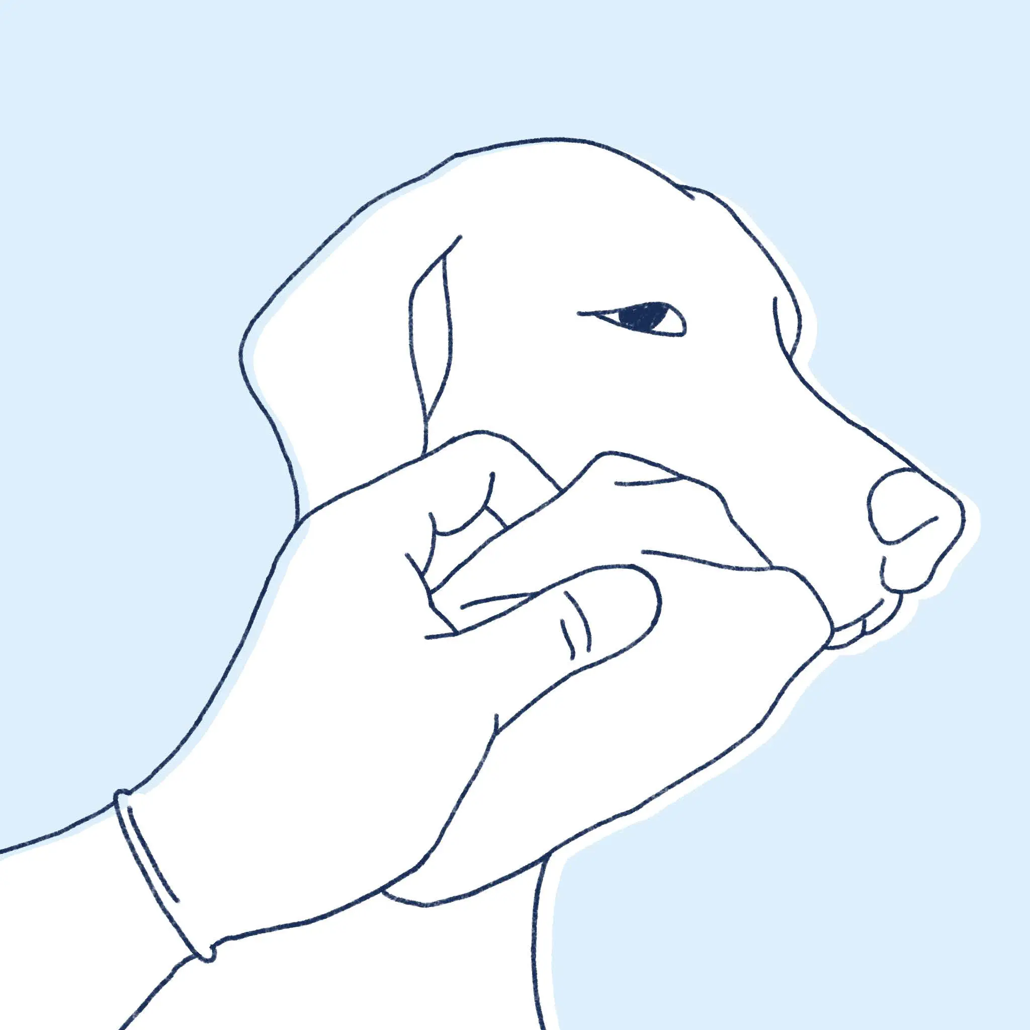 Bita-International How to Give Your Pet Liquid Medication fig8