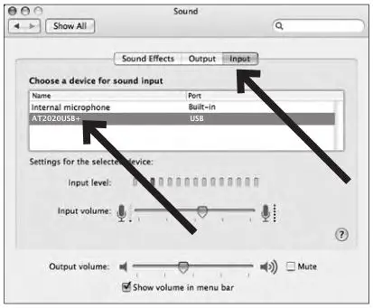 audio-technica Cardioid Condenser USB Microphone - Click the Input tab and select the AT2020USB+