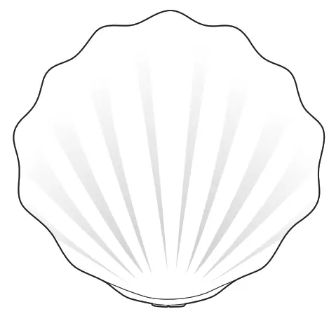 SHEIN Shell Shower Speaker