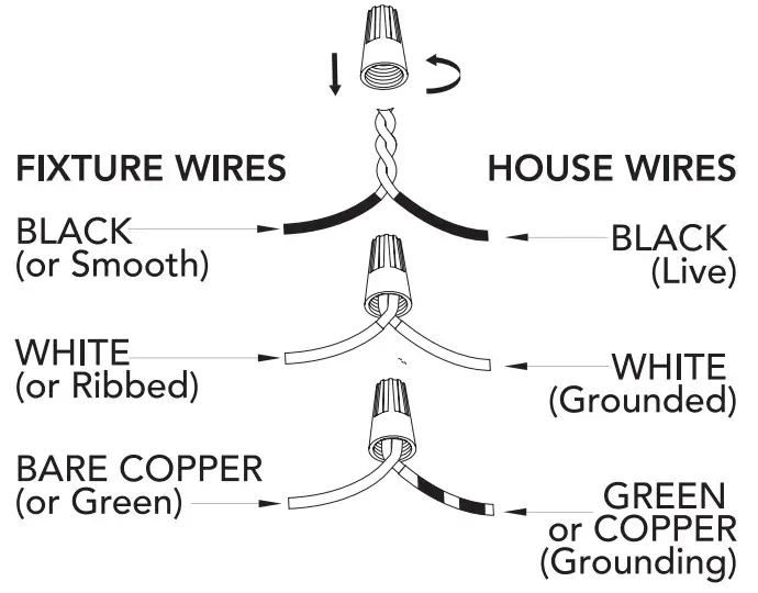 Hunter Maple Park 19898, 1899 Light - Figure 6