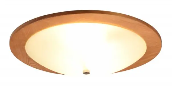 TRIO-612600230-Living-Room-Lighting-product-image