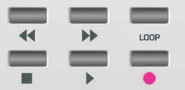 novation ReMOTE LE Master Keyboard - Main Features and Operation 40