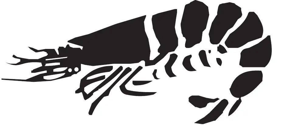 INNOTECK-DS-5179-16L-Air-Fryer-Oven-13