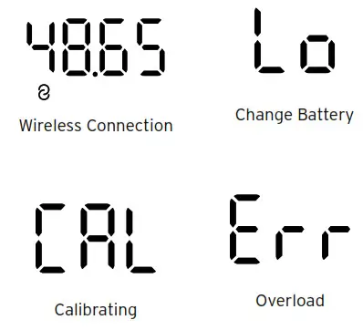 ETEKCITY ESF38 Smart Fitness Scale - Display Messages