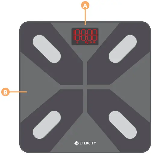 ETEKCITY ESF38 Smart Fitness Scale - Function Diagram