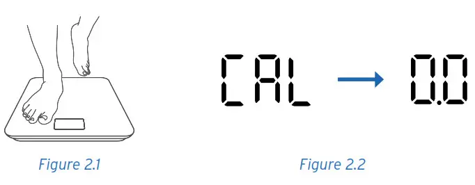 ETEKCITY ESF38 Smart Fitness Scale - Maintenance