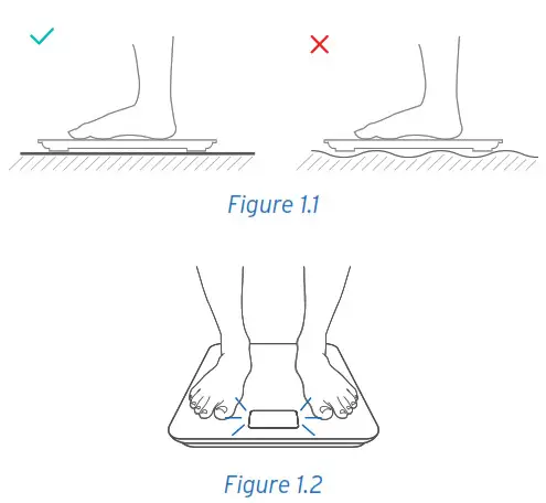 ETEKCITY ESF38 Smart Fitness Scale - Using the Smart Scale
