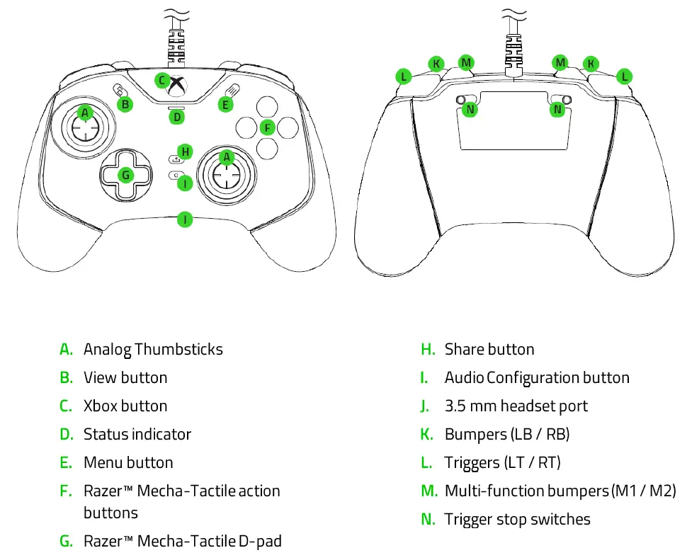 Device Layout