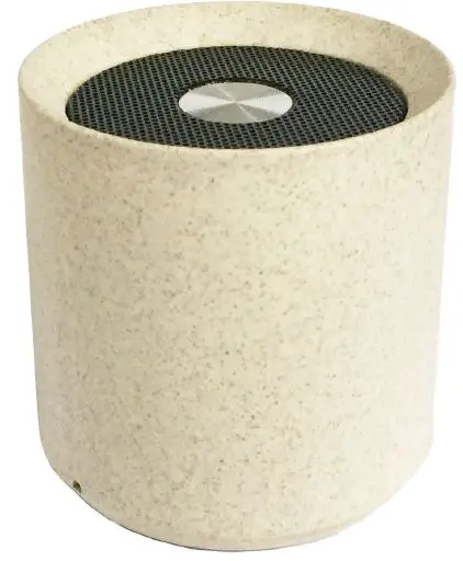 BLAUPUNKT BLP3690-001 Bluetooth Speaker IMAGE