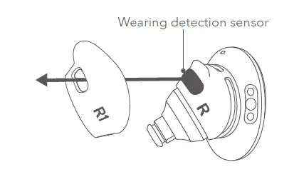 Changing the Ear Wings