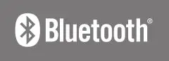 Bluetooth Icon