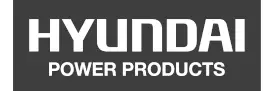HYUNDAI logo 1