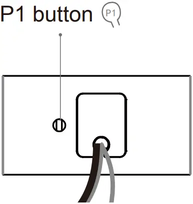 ELLARD DV24AF - Button Instructions 1