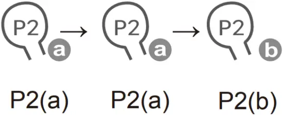 ELLARD DV24AF - Pair Unpair Additional Emitter 1