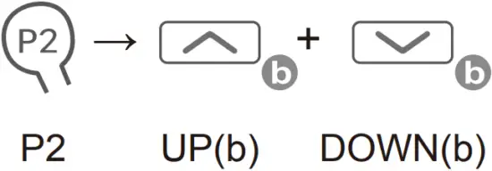ELLARD DV24AF - Pair Unpair Additional Emitter 2