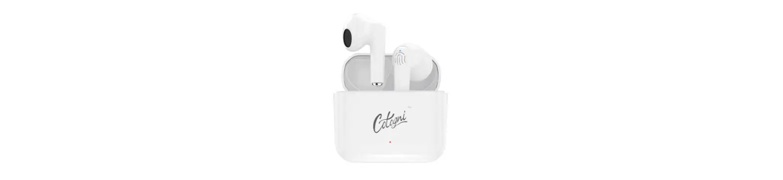 Cotogni P3 True Wireless Earbuds User Manual