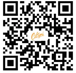 Cotogni P3 True Wireless Earbuds - qr