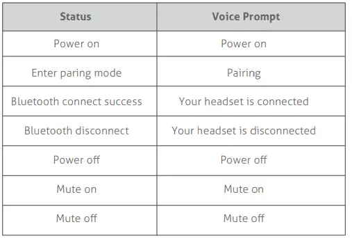 Liprous DY101 Bluetooth Headset User Manual 12