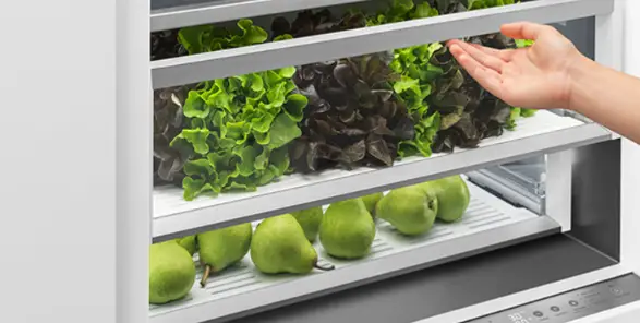 Fisher Paykel Rs2484wruk1 24 Inch Integrated Refrigerator Freezer User Guide