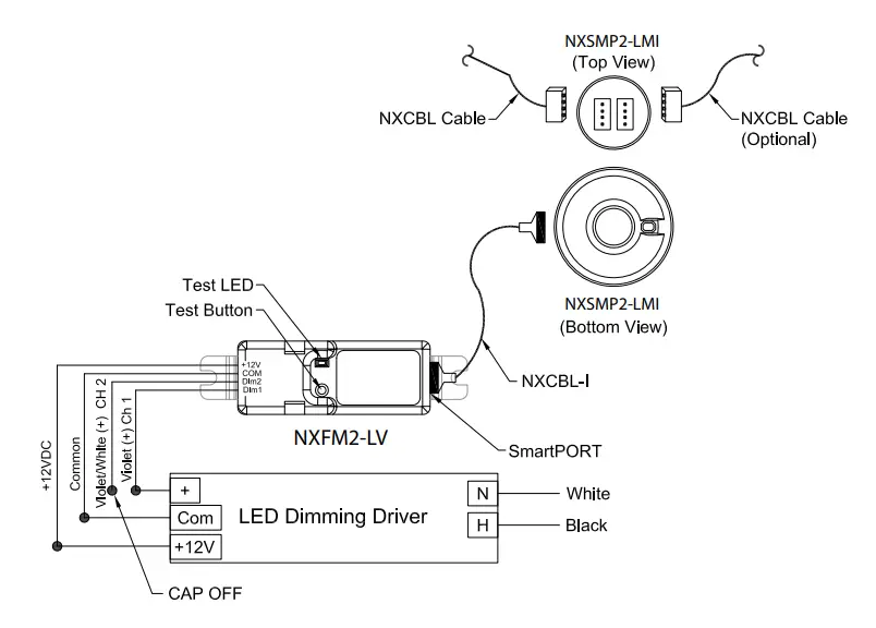 NXSMP2-Series-Low-Mount-Indoor-Sensors-4