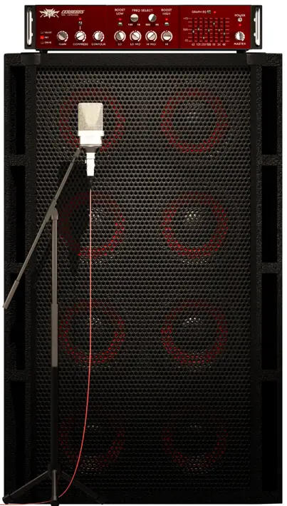 Cerberus Bass Amp Amplifier