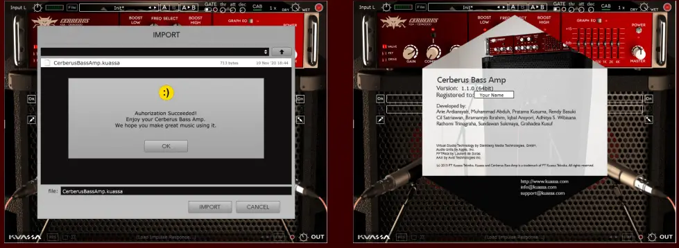 Cerberus Bass Amp Amplifier fig 2