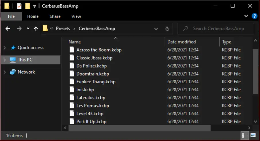 Cerberus Bass Amp Amplifier fig 3