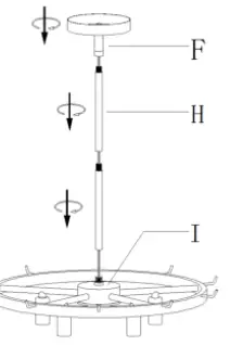 ZEVNI-L3FNAIQRW4842SA8-Goren-5-Light-Gold-Modern-Contemporary-Chandelier-9