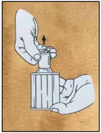 Lorenzi MILANO Oval Shaped Flint Desk Lighter Instructions - Remove the flint lighter from the metal case