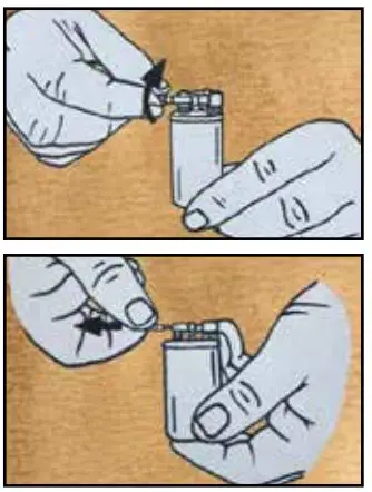 Lorenzi MILANO Oval Shaped Flint Desk Lighter Instructions - Remove the flint unscrewing and extracting the spring as the picture above