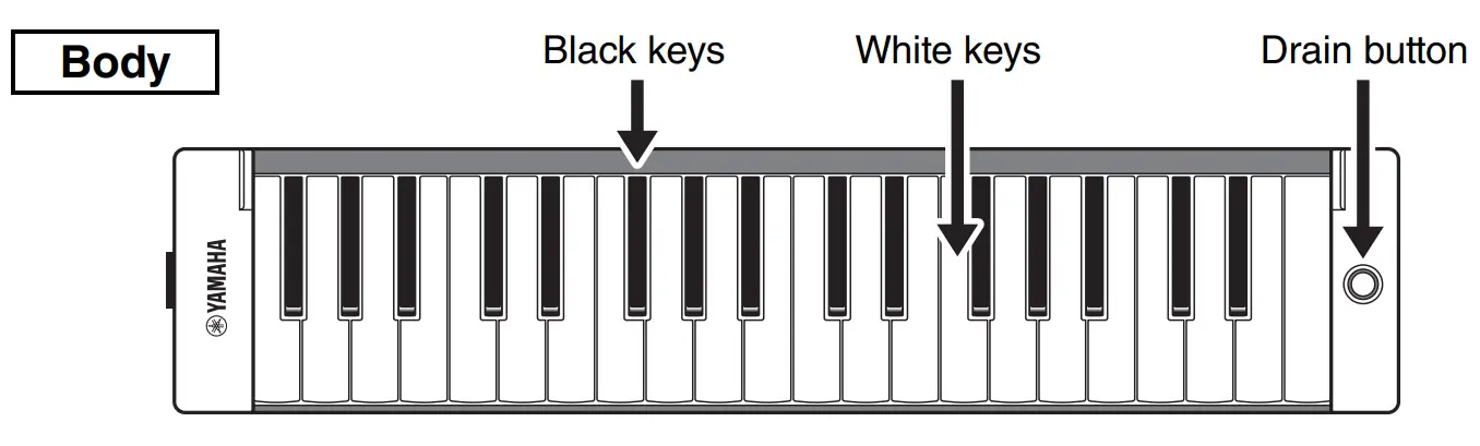 YAMAHA P-37E Pianica Musical Instrument - figure 1